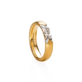 Weißgold, Ringe, Schmuckwerk Ring Alpenring GR145-GG