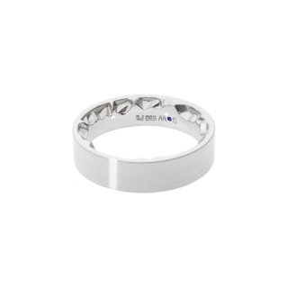 Platin, Ringe, Schmuckwerk Alpen Ring, Ref: GT250-PT-68