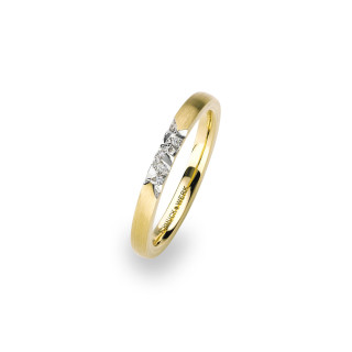 Gelbgold, Ringe, Schmuckwerk Alpen Ring, Ref: GR125-GG-58