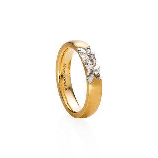 Gelbgold, Ringe, Schmuckwerk Alpen Ring, Ref: GR145-GG-55