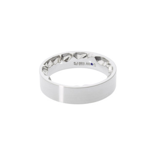 Platin, Ringe, Schmuckwerk Alpen Ring, Ref: GT260-PT-70