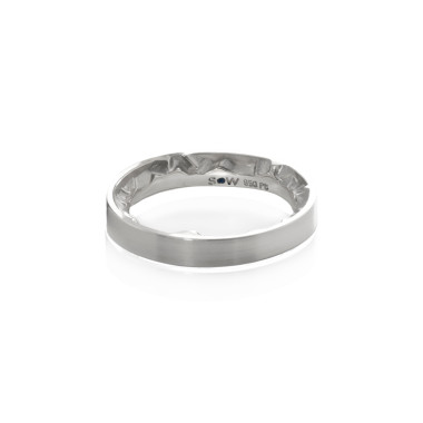         Platin, Ringe, Schmuckwerk Alpen Ring