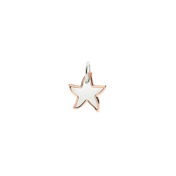         Silber, Halsschmuck, DoDo Anhänger XL Stellina aus Silber und Roségold